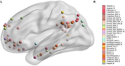 The effect of seed location on functional connectivity: evidence from an image-based meta-analysis